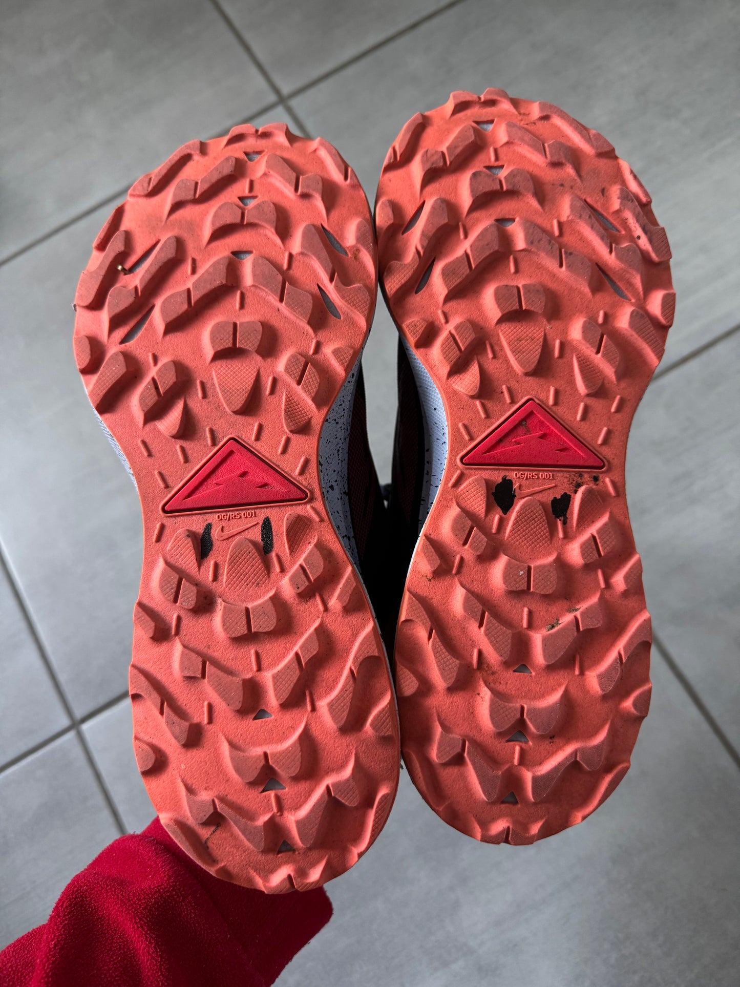 Nike Pegasus Trail 3 Gore-Tex