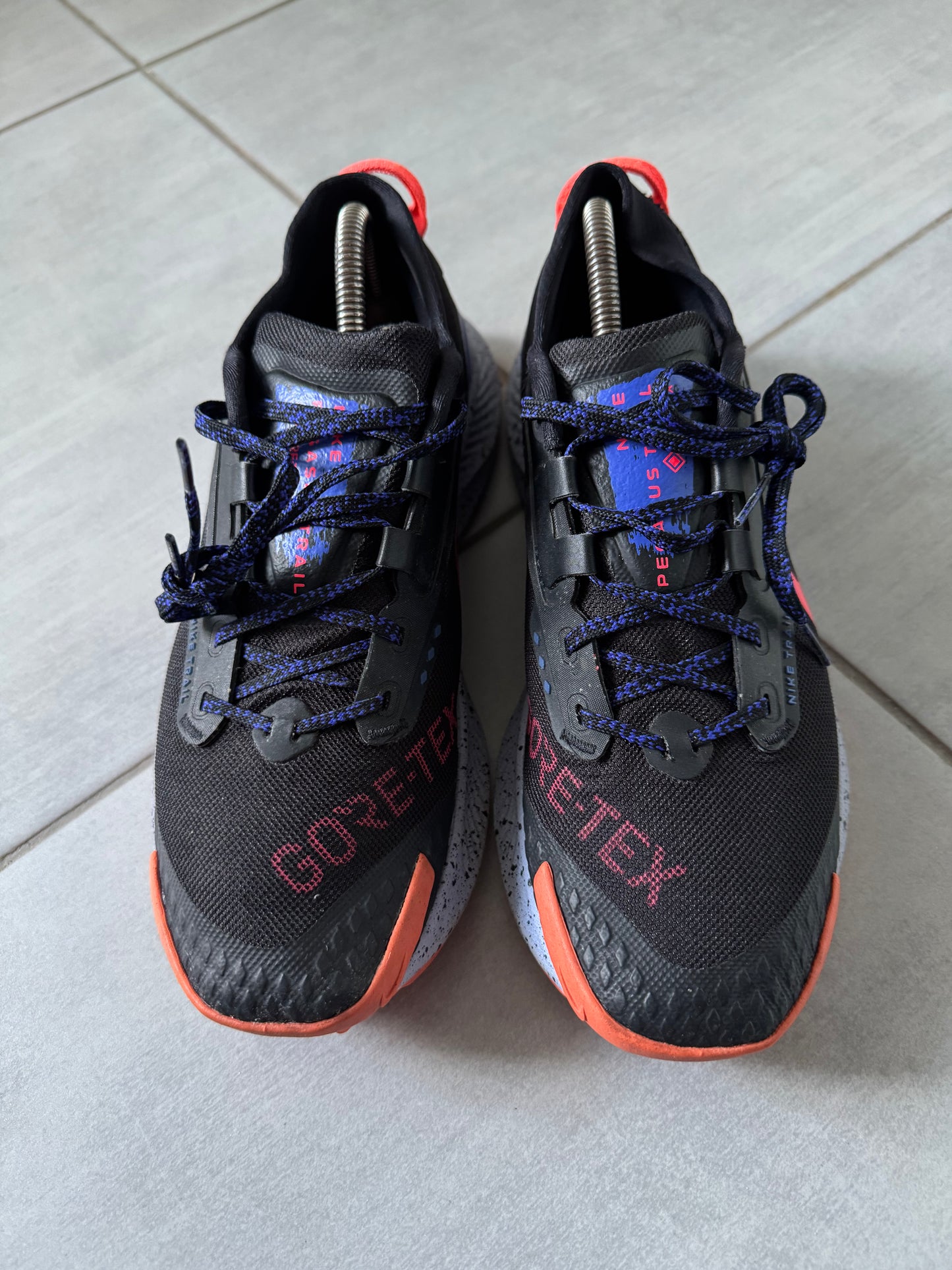 Nike Pegasus Trail 3 Gore-Tex