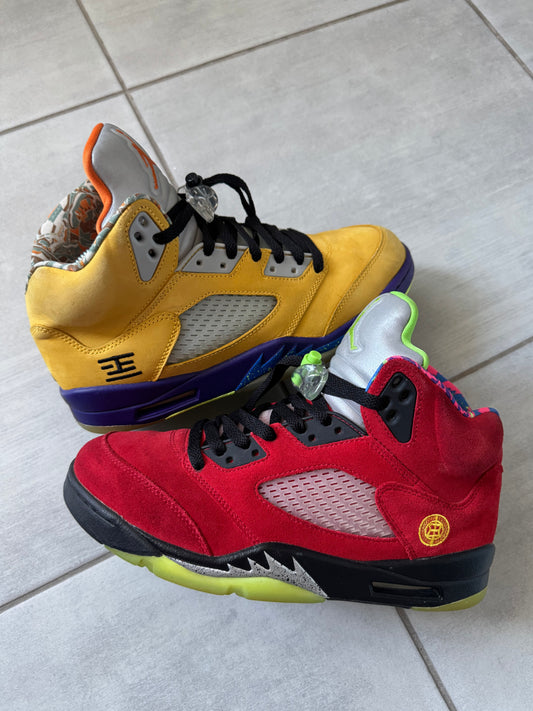 Air Jordan 5 What The