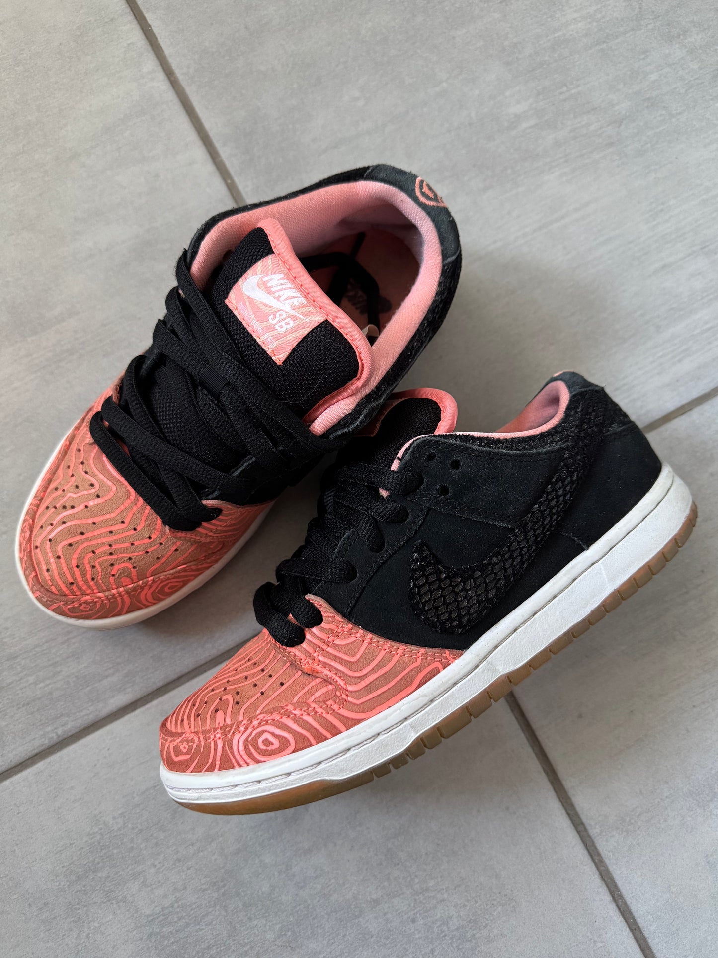 Nike SB Dunk Low Fish Ladder