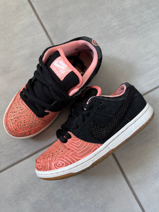 Nike SB Dunk Low Fish Ladder