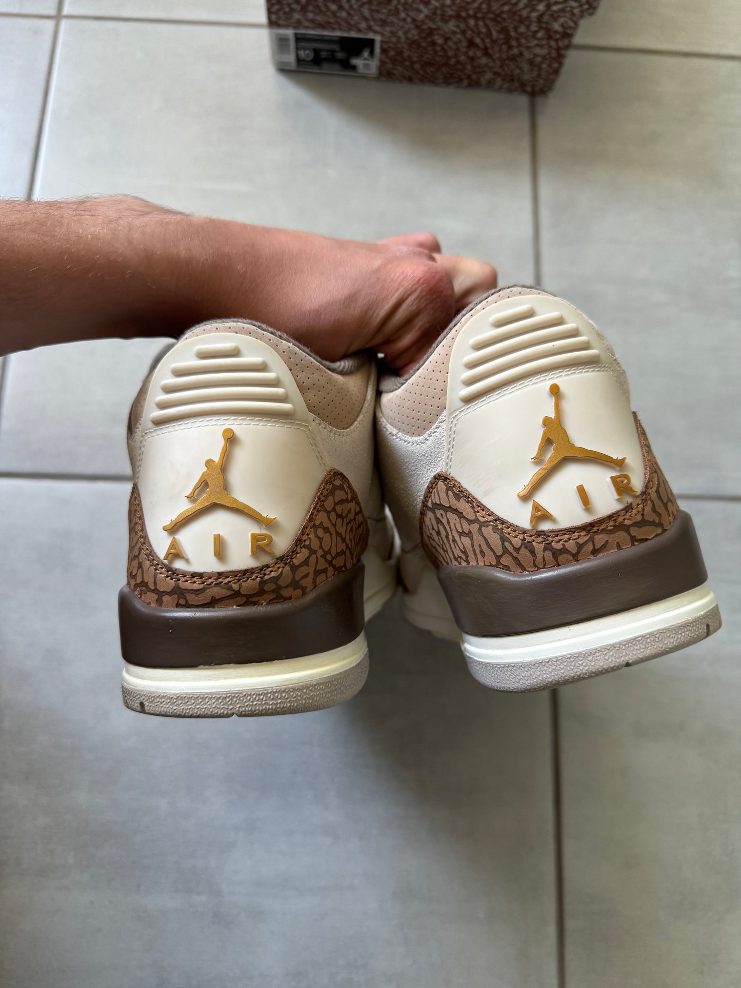 Air Jordan 3 Palomino CT8532-102