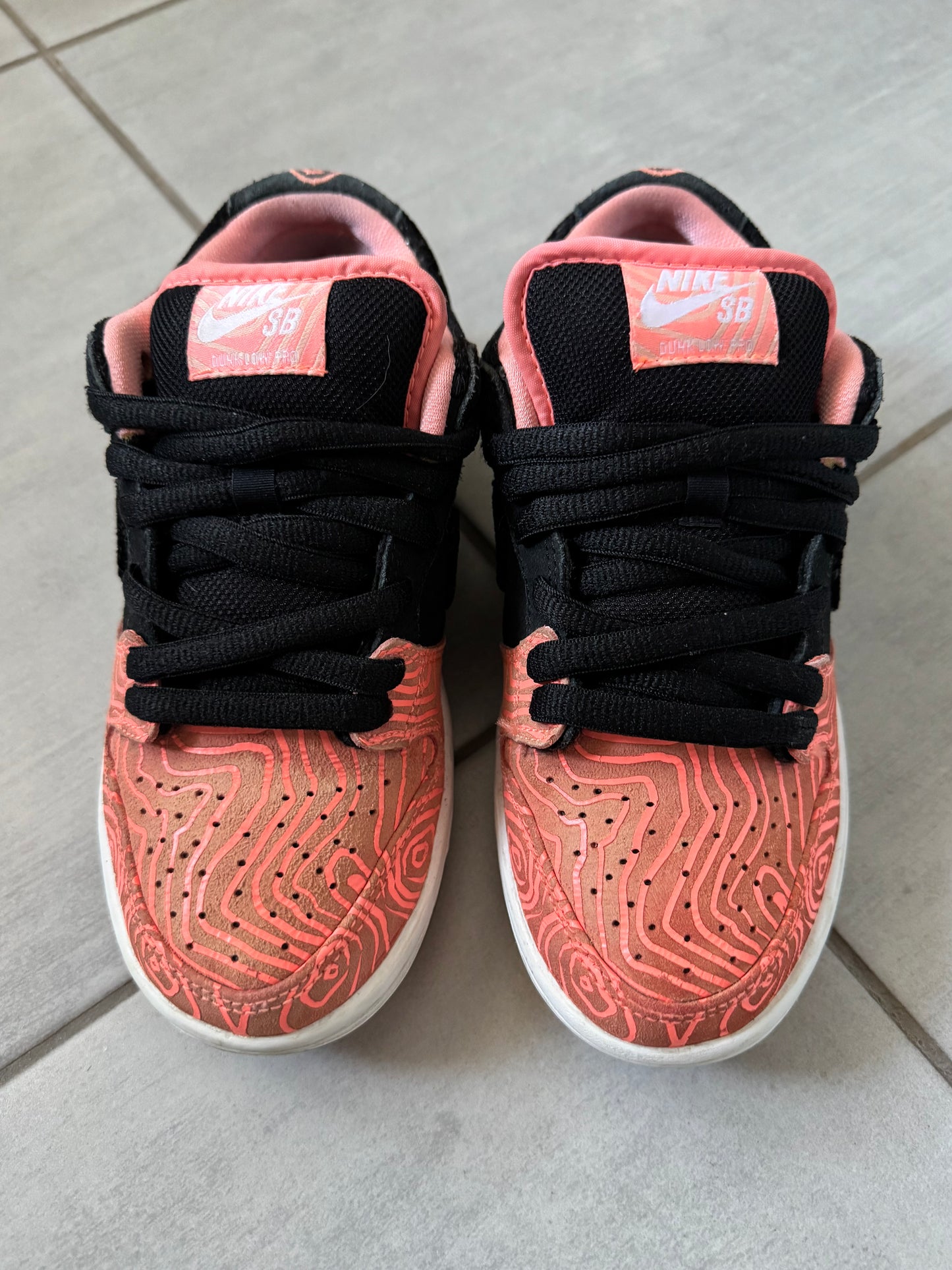Nike SB Dunk Low Fish Ladder