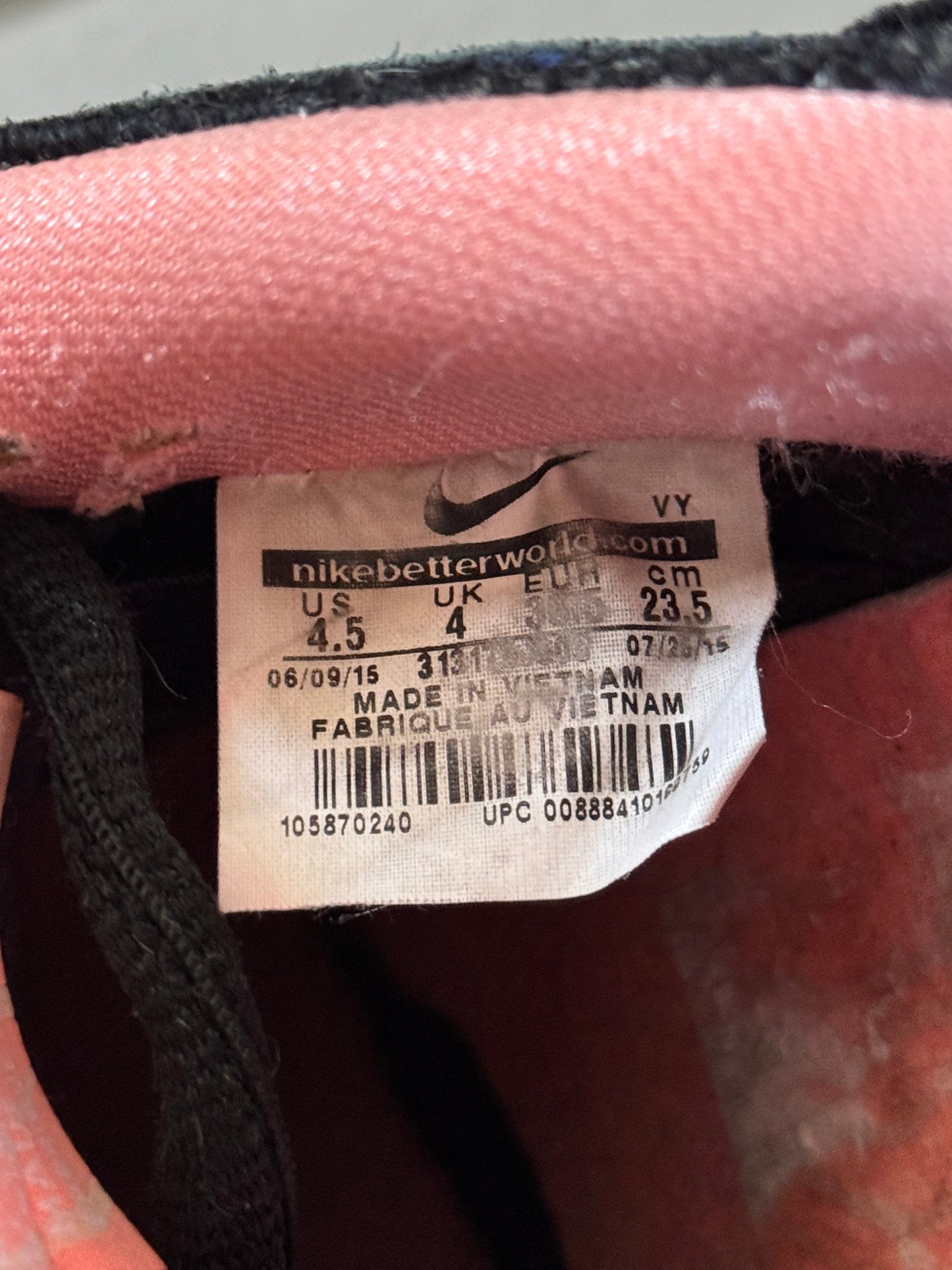 Nike SB Dunk Low Fish Ladder