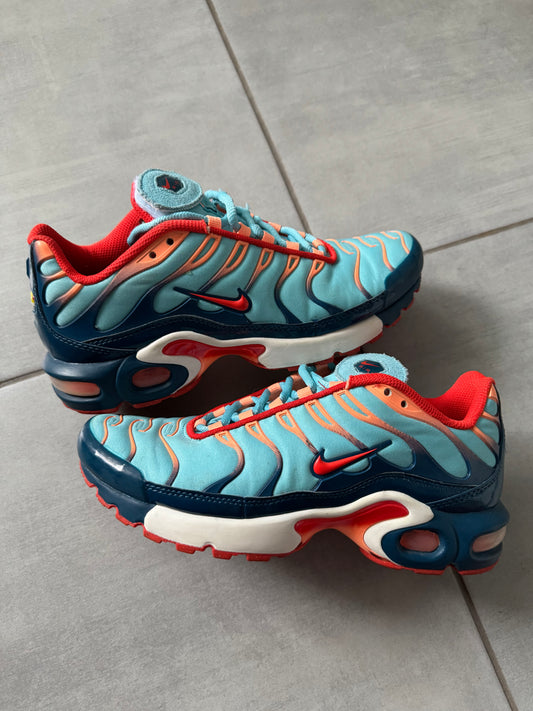 Nike Air Max Plus GS Blue Force