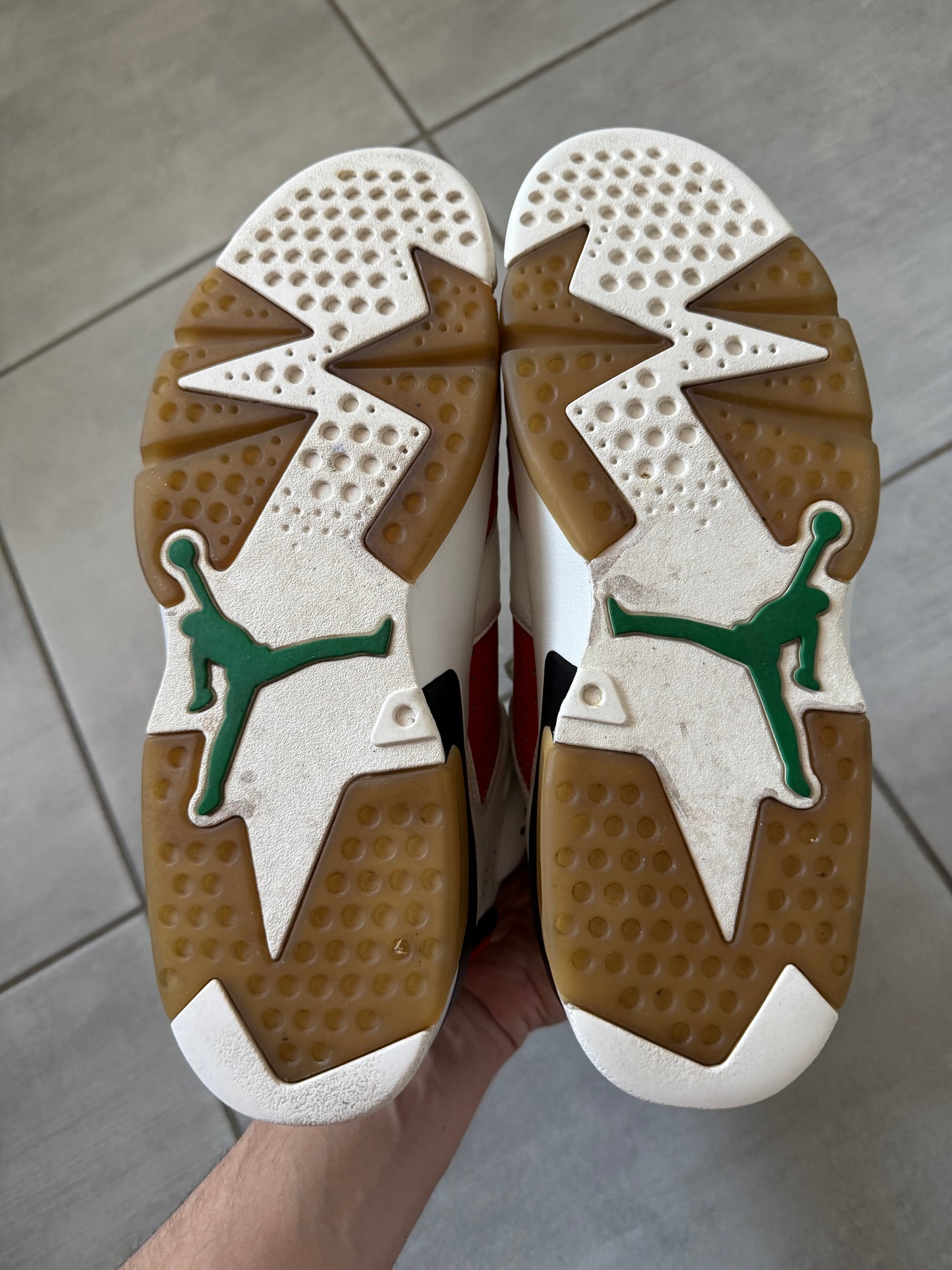 Air Jordan 6 Gatorade