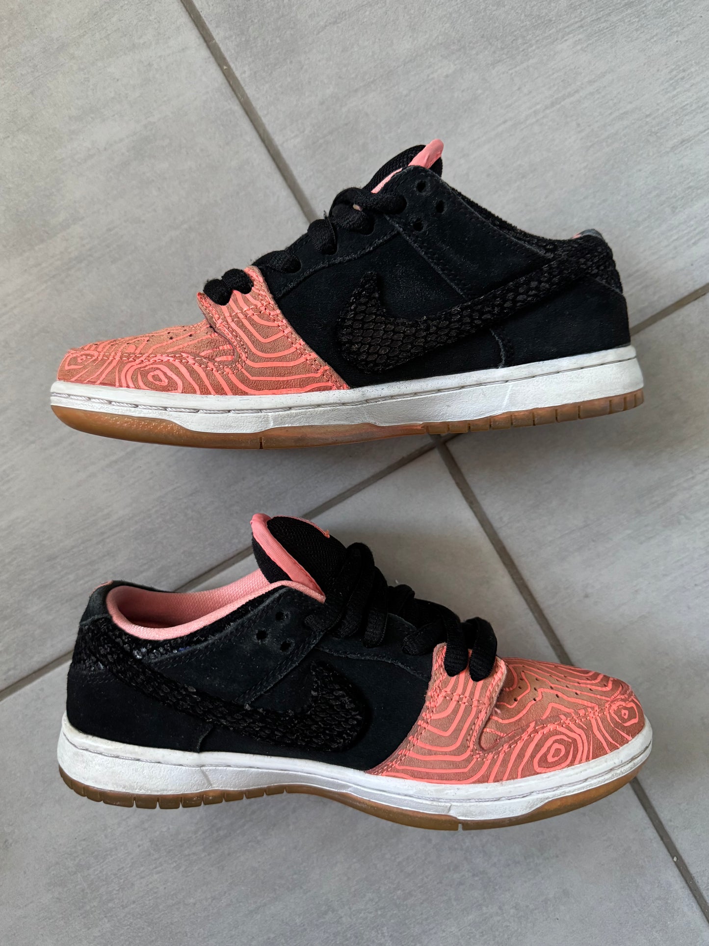 Nike SB Dunk Low Fish Ladder