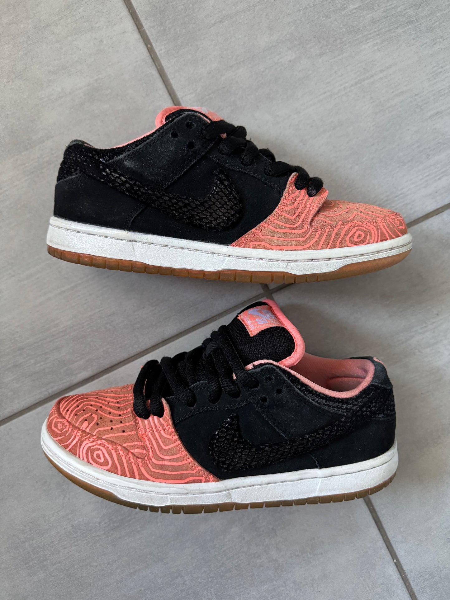 Nike SB Dunk Low Fish Ladder
