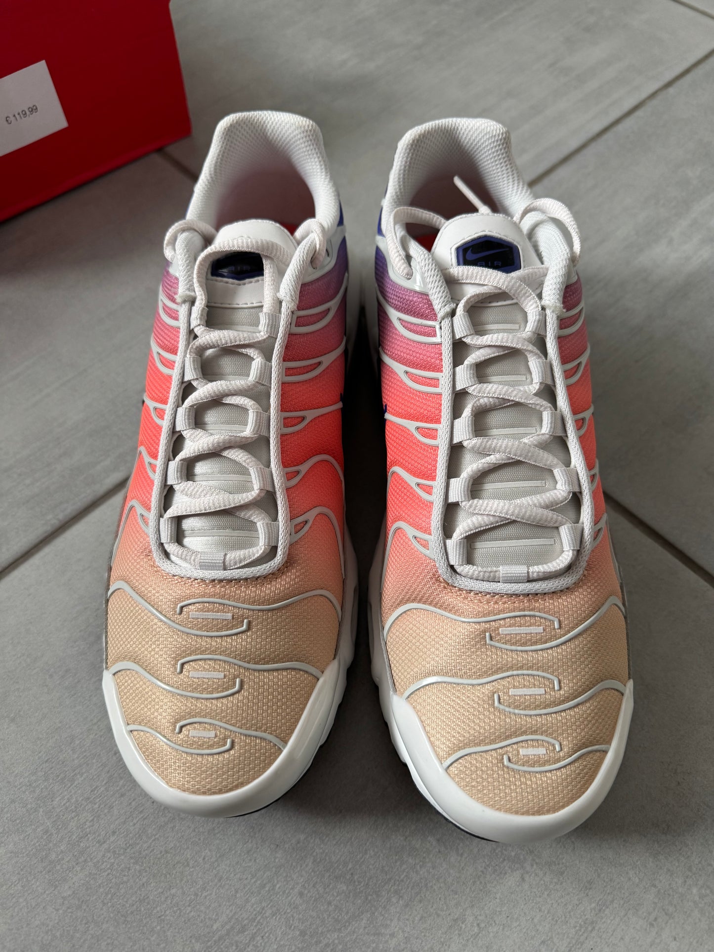 Nike Air Max Plus Gradient