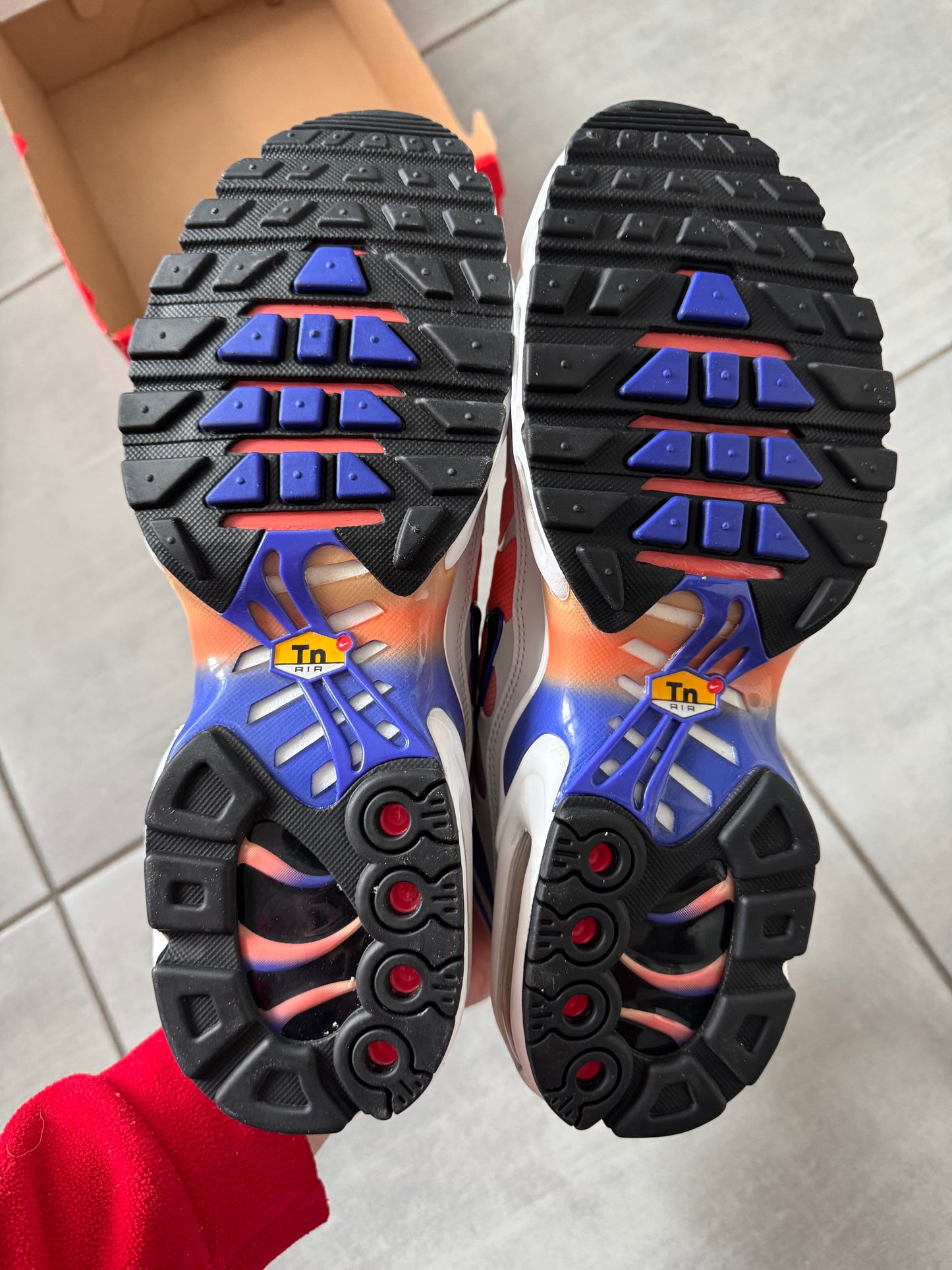 Nike Air Max Plus Gradient